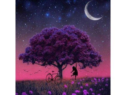 cze pl Diamantova vysivaci mozaika H16137 15175 11